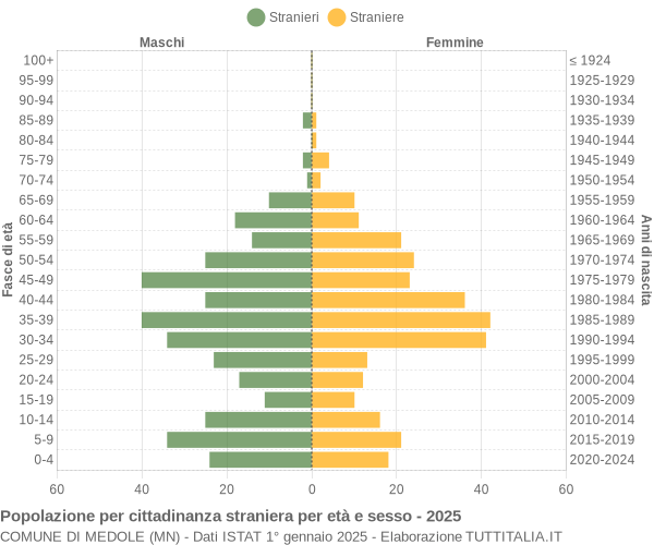 Grafico cittadini stranieri - Medole 2025
