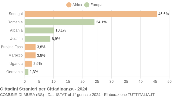 Grafico cittadinanza stranieri - Mura 2024