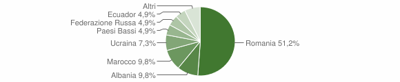 Grafico cittadinanza stranieri - Ossimo 2011