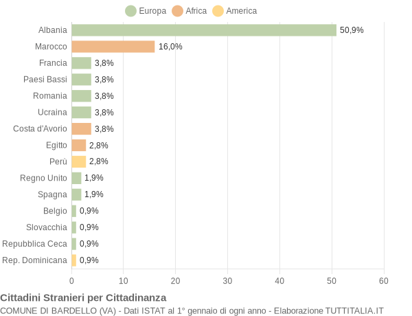 Grafico cittadinanza stranieri - Bardello 2008