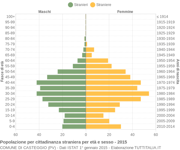 Grafico cittadini stranieri - Casteggio 2015