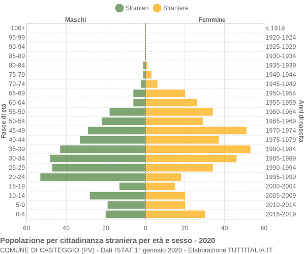 Grafico cittadini stranieri - Casteggio 2020