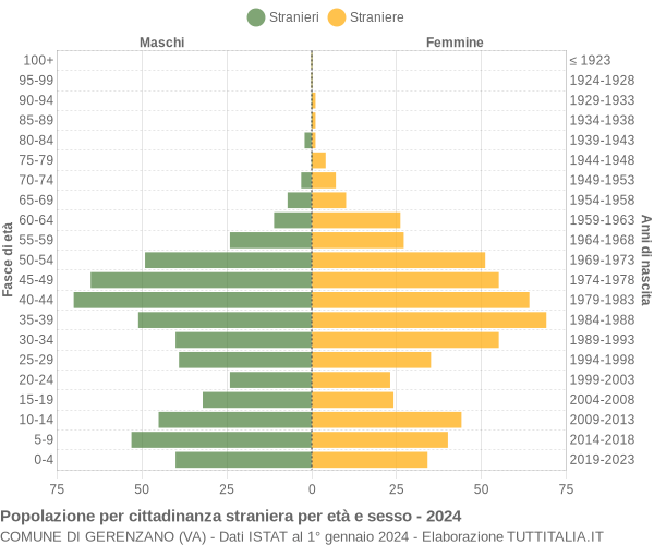 Grafico cittadini stranieri - Gerenzano 2024