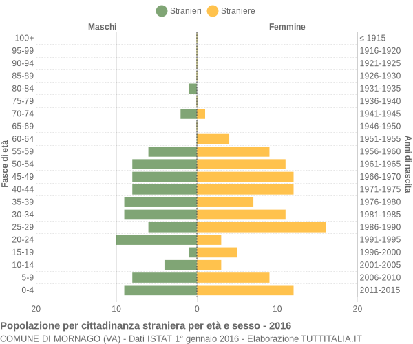 Grafico cittadini stranieri - Mornago 2016