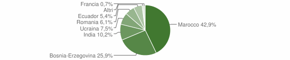 Grafico cittadinanza stranieri - Pianico 2007