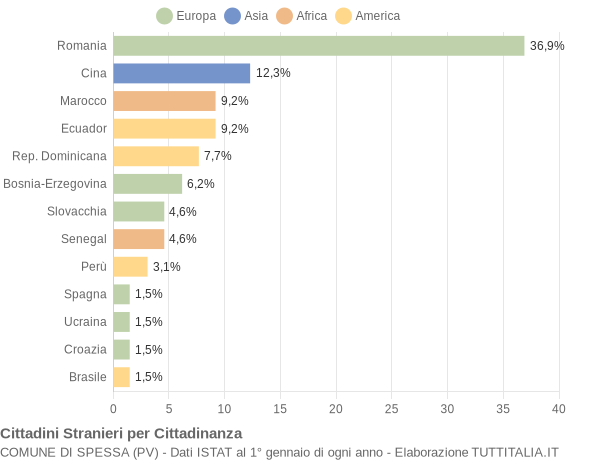 Grafico cittadinanza stranieri - Spessa 2013