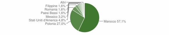 Grafico cittadinanza stranieri - Veleso 2013