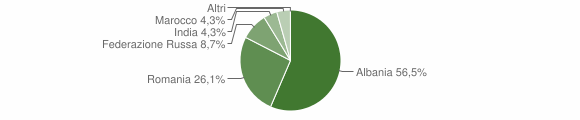 Grafico cittadinanza stranieri - Vione 2012