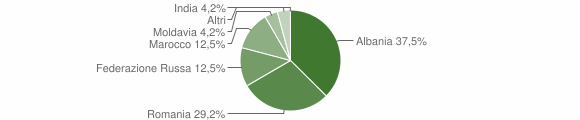 Grafico cittadinanza stranieri - Vione 2015