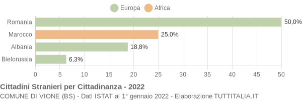 Grafico cittadinanza stranieri - Vione 2022