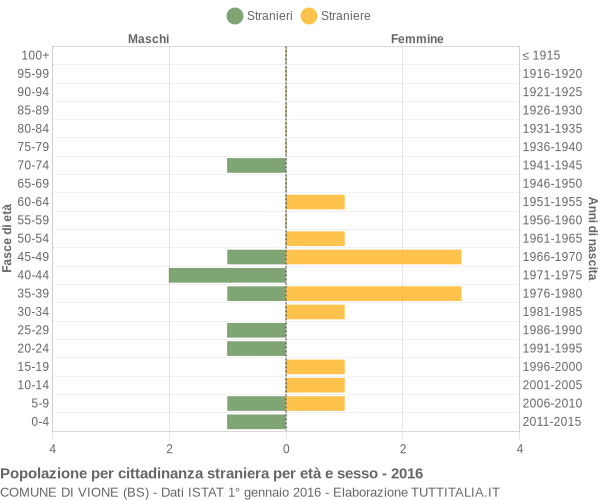 Grafico cittadini stranieri - Vione 2016