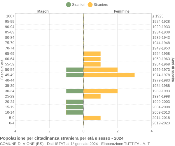 Grafico cittadini stranieri - Vione 2024