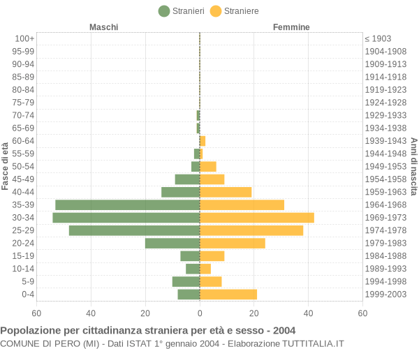 Grafico cittadini stranieri - Pero 2004