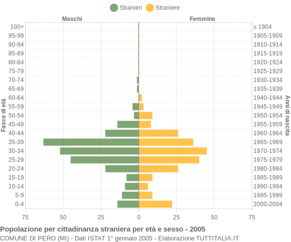 Grafico cittadini stranieri - Pero 2005
