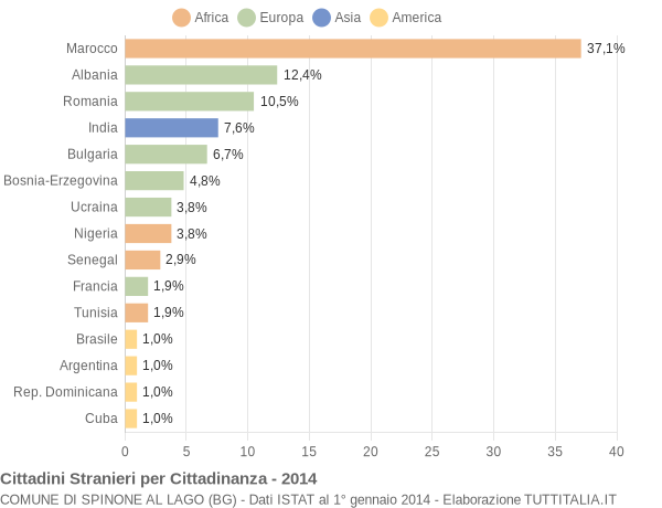 Grafico cittadinanza stranieri - Spinone al Lago 2014