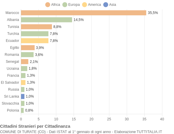 Grafico cittadinanza stranieri - Turate 2004