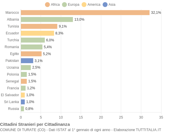 Grafico cittadinanza stranieri - Turate 2005