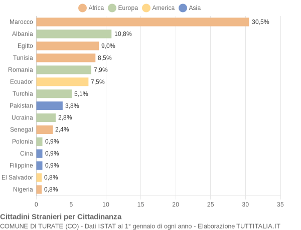 Grafico cittadinanza stranieri - Turate 2008