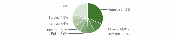Grafico cittadinanza stranieri - Turate 2009