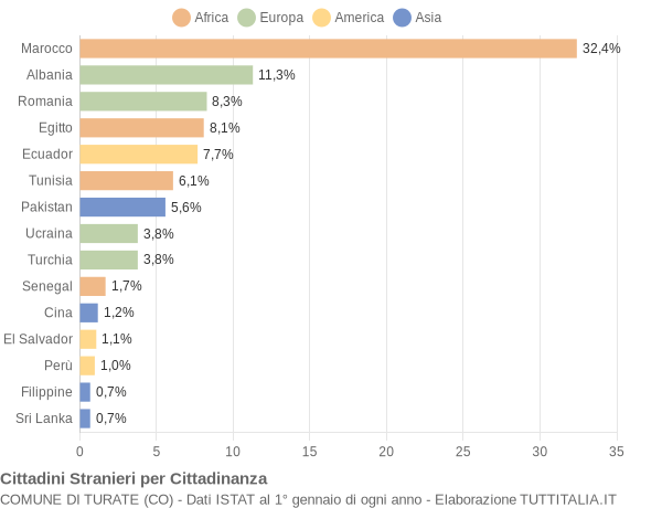 Grafico cittadinanza stranieri - Turate 2011