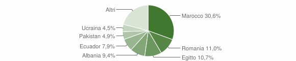 Grafico cittadinanza stranieri - Turate 2015