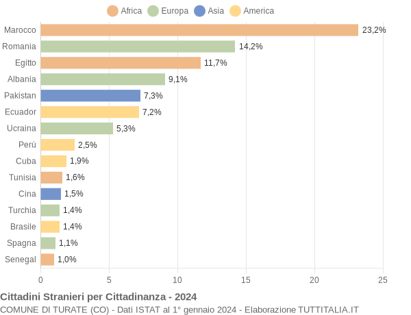 Grafico cittadinanza stranieri - Turate 2024