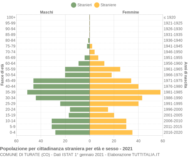 Grafico cittadini stranieri - Turate 2021