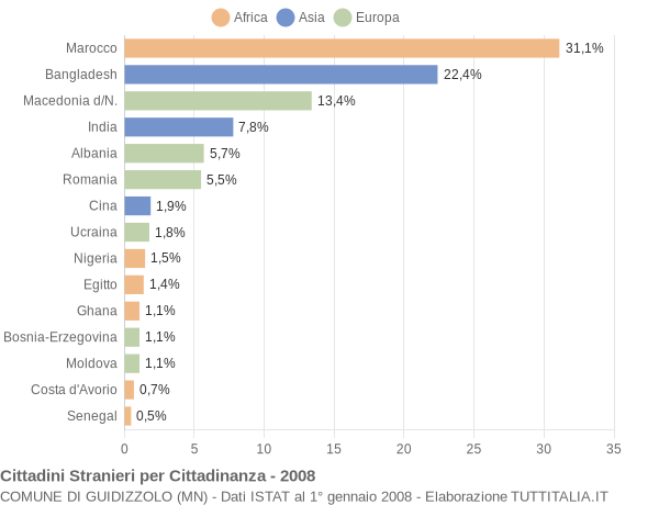 Grafico cittadinanza stranieri - Guidizzolo 2008