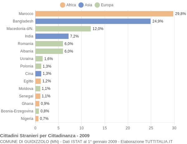 Grafico cittadinanza stranieri - Guidizzolo 2009