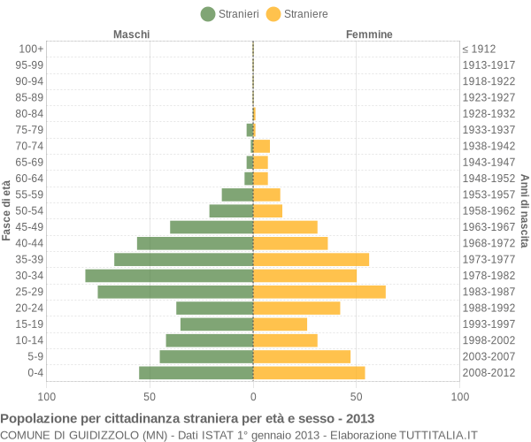 Grafico cittadini stranieri - Guidizzolo 2013