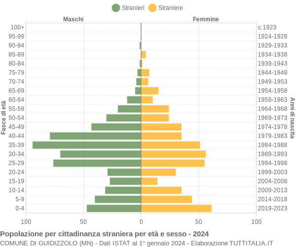 Grafico cittadini stranieri - Guidizzolo 2024