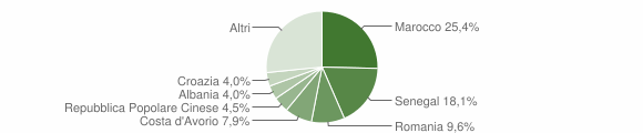 Grafico cittadinanza stranieri - Paladina 2011
