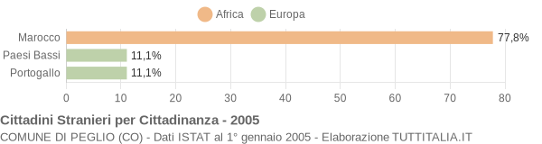 Grafico cittadinanza stranieri - Peglio 2005