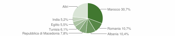 Grafico cittadinanza stranieri - Somaglia 2007