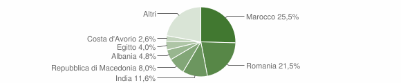 Grafico cittadinanza stranieri - Somaglia 2015