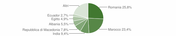 Grafico cittadinanza stranieri - Somaglia 2016
