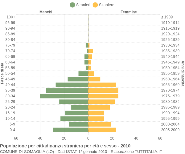 Grafico cittadini stranieri - Somaglia 2010