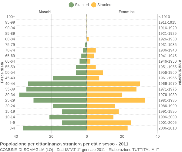 Grafico cittadini stranieri - Somaglia 2011