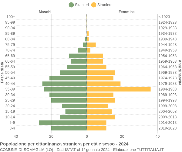 Grafico cittadini stranieri - Somaglia 2024