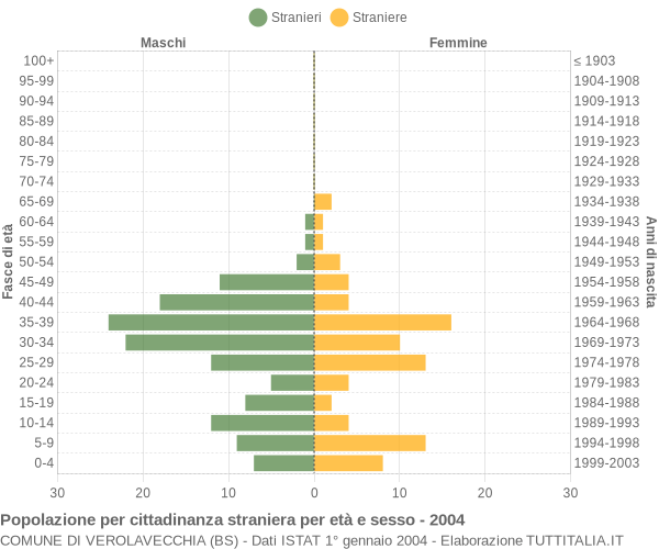 Grafico cittadini stranieri - Verolavecchia 2004