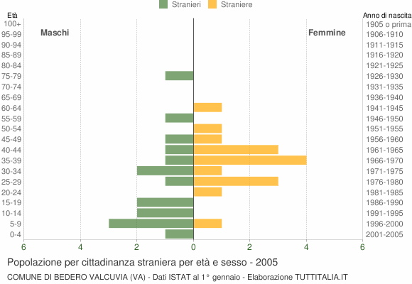 Grafico cittadini stranieri - Bedero Valcuvia 2005