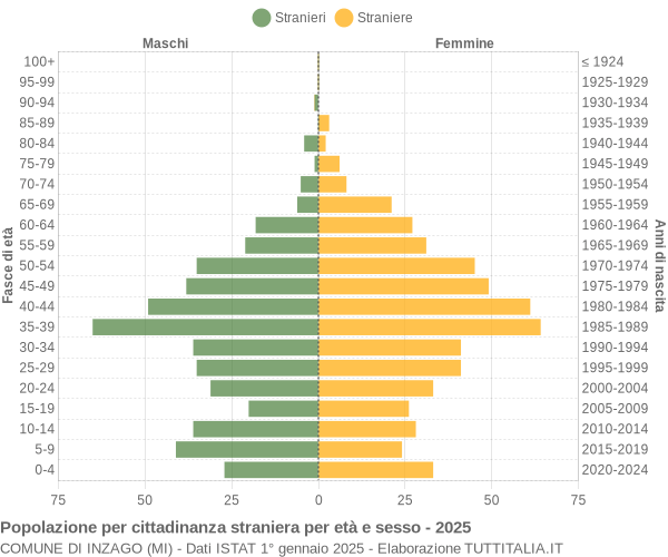 Grafico cittadini stranieri - Inzago 2025