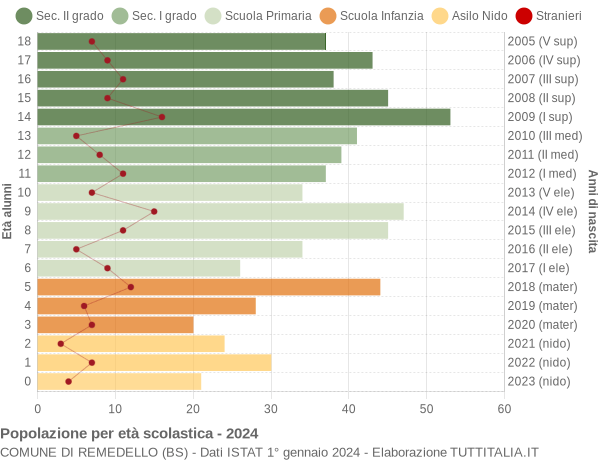 Grafico Popolazione in età scolastica - Remedello 2024