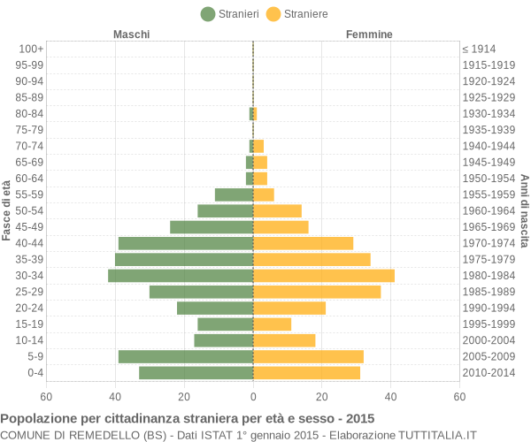 Grafico cittadini stranieri - Remedello 2015