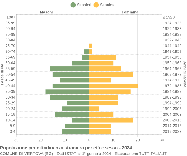 Grafico cittadini stranieri - Vertova 2024