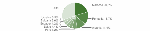 Grafico cittadinanza stranieri - Bernareggio 2012