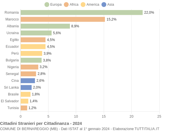 Grafico cittadinanza stranieri - Bernareggio 2024