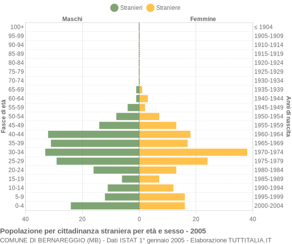 Grafico cittadini stranieri - Bernareggio 2005