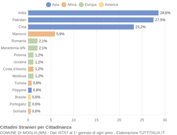 Grafico cittadinanza stranieri - Moglia 2008