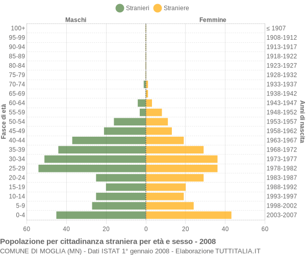 Grafico cittadini stranieri - Moglia 2008
